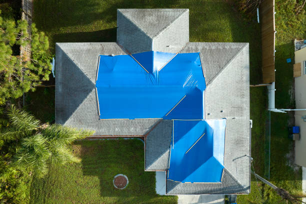 Best Roof Moss and Algae Removal  in Morton, TX