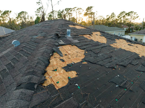 Best Skylights  in Morton, TX